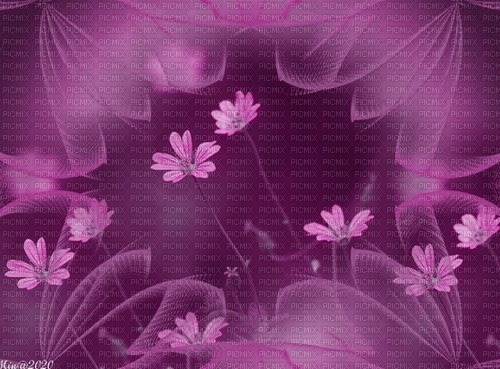 bg-lila.blommor---background-purple-flowers - png ฟรี
