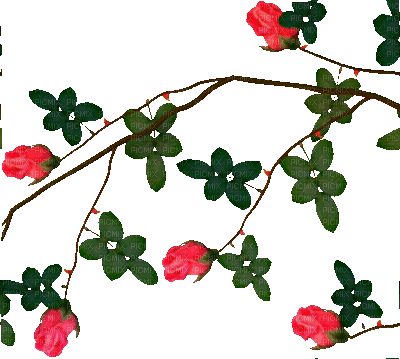 Y.A.M._Vegetation Rose Decor - GIF animé gratuit