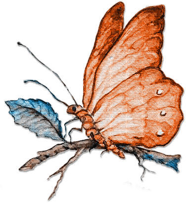 soave deco butterfly branch vintage blue orange - 免费PNG