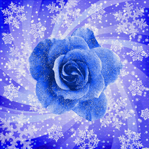 LU / BG /animated.winter.snow.rose.blue.idca - Бесплатный анимированный гифка