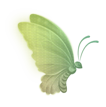 schmetterling butterfly bunt - kostenlos png