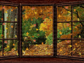 fond gif autumn automne - GIF เคลื่อนไหวฟรี