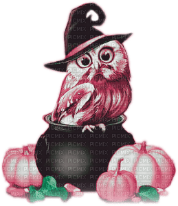 soave deco halloween owl pumpkin pink green - kostenlos png