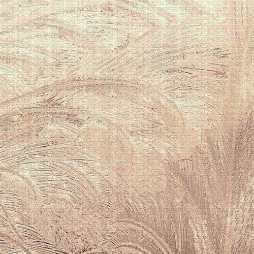 Gold Background Feather - png grátis