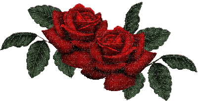 Red rose - Free animated GIF