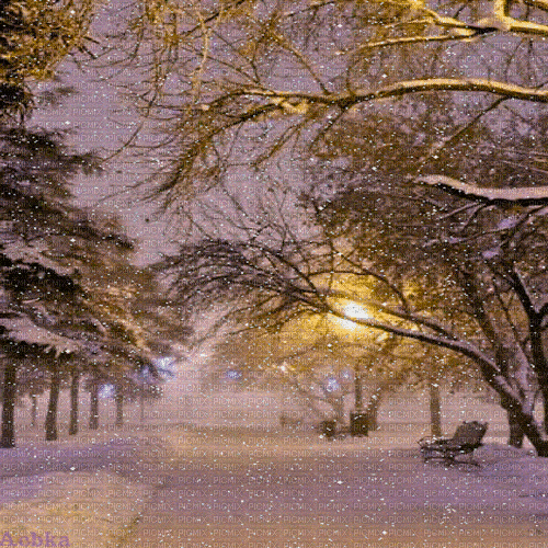 winter  background by nataliplus - Бесплатный анимированный гифка