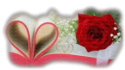 cecily-livre et une rose - besplatni png