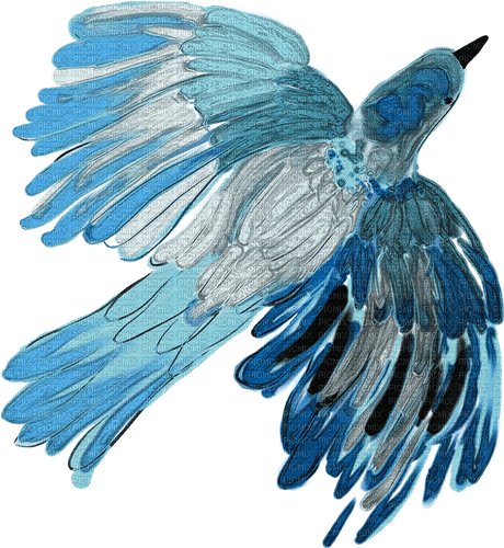 Watercolour Bird blue artsy creative - ilmainen png