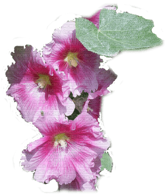 fleur mauve.Cheyenne63 - png grátis