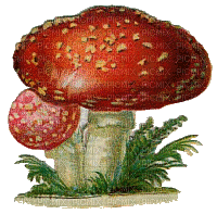 Vintage Mushroom - Бесплатни анимирани ГИФ