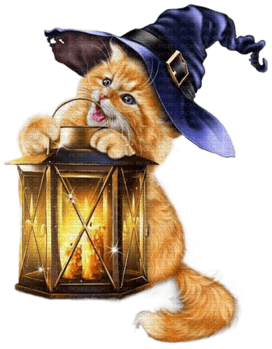 Halloween.Cat.Chat.Gato.Kitty.Victoriabea - Free PNG