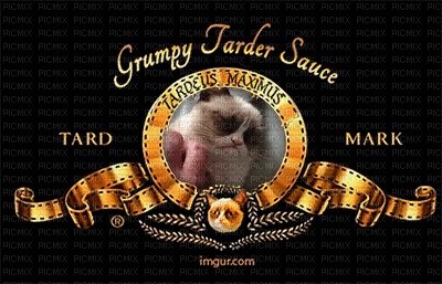 Grumpy Trader Sauce - Free animated GIF