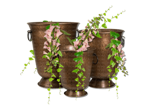 Macetas con flores y plantas - png gratuito