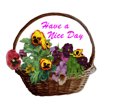Pansy Green Basket Text  Have A Nice Day - Bogusia - фрее пнг