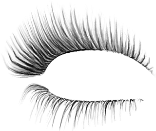 eyelash,eyeshadows, eyeliner bp - PNG gratuit