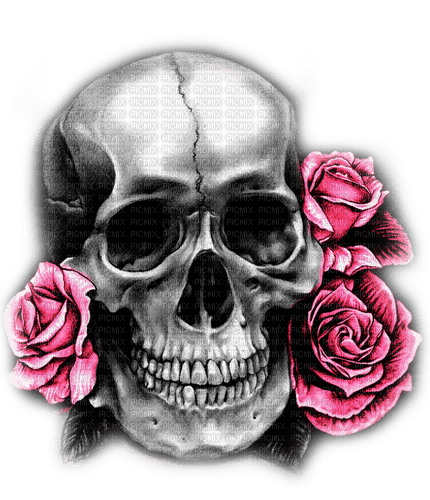 Skull.Roses.Black.White.Pink - By KittyKatLuv65 - PNG gratuit