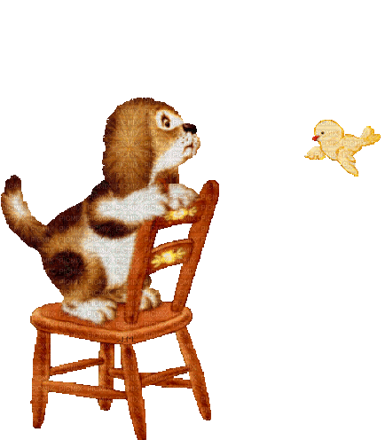 dog and bird  by nataliplus - GIF animé gratuit