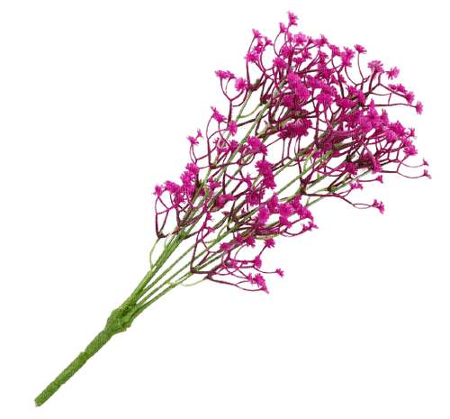 цветы - png gratuito