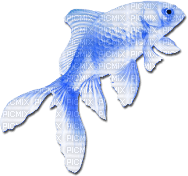 soave deco summer fish scrap orange blue - PNG gratuit