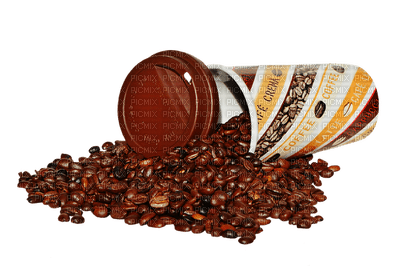 kahvipapu, coffee bean - png gratis