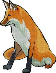 animaux renard - Darmowy animowany GIF
