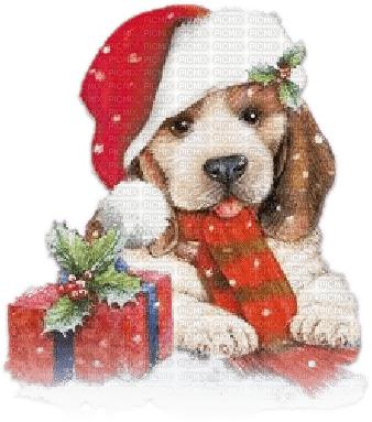soave animals dog christmas winter brown red green - PNG gratuit