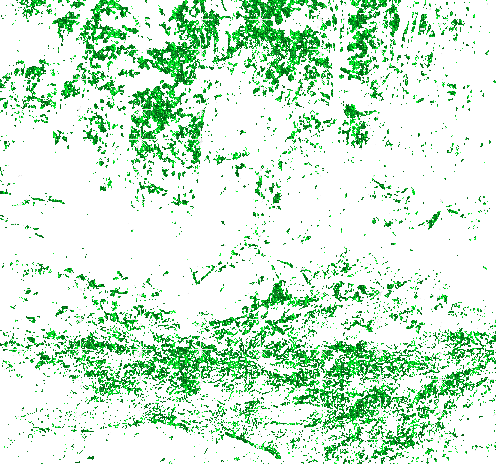 green glitter - Besplatni animirani GIF
