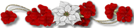 dolceluna red white flowers border - png gratuito