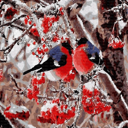 background animated hintergrund winter milla1959 - 免费动画 GIF