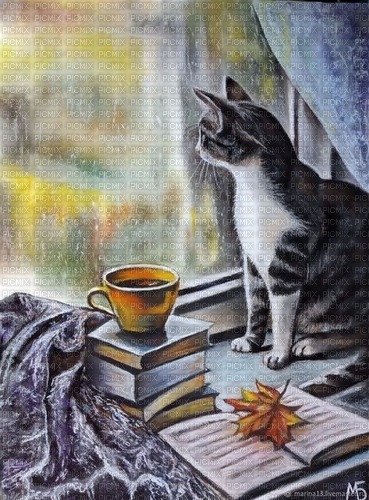 cat, autumn, rain window, coffee - 免费PNG