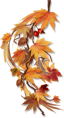 Automne - 免费PNG