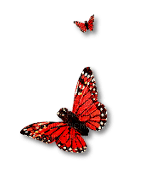 butterflies katrin - ilmainen png