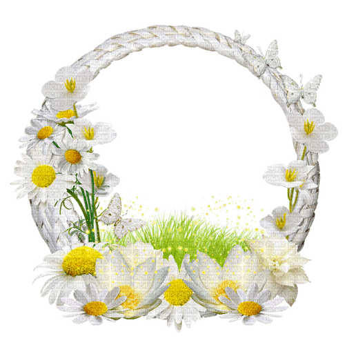 Daisies.Frame.White.Yellow - PNG gratuit