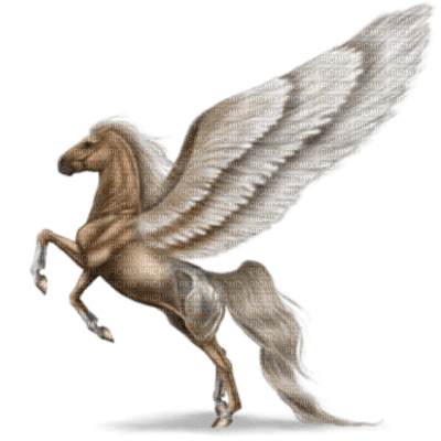 Pegasus bp - nemokama png
