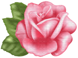 pink  roses background - PNG gratuit