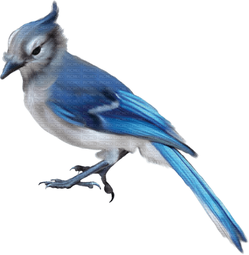 blue bird deco rox - 免费PNG