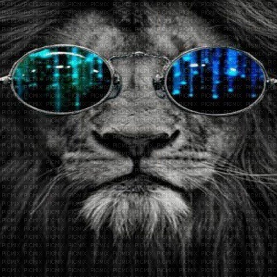 lion bp - Free PNG