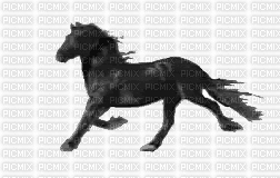 blackhorse - Gratis animeret GIF