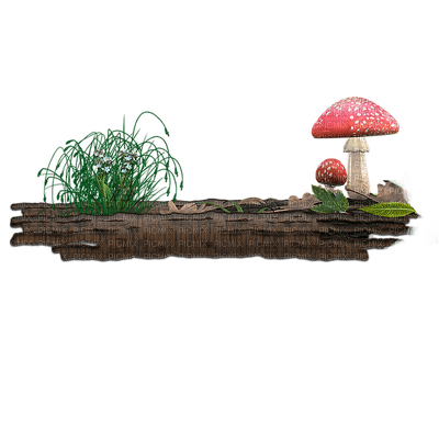 mushroom, sieni, sisustus, decor, luonto, nature - ilmainen png