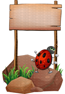Kaz_Creations Ladybug 🐞 - ingyenes png