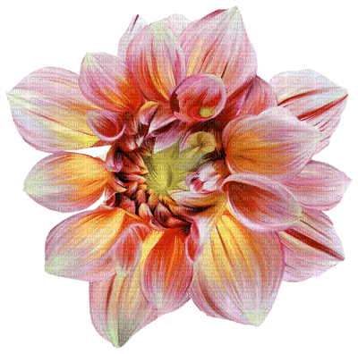 Kaz_Creations Deco Scrap Colours Flower - PNG gratuit