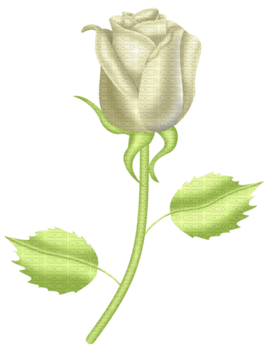 Fleur Blanc:) - 免费PNG