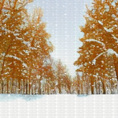 Yellow Snowy Forest - Gratis animerad GIF