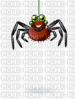 Animated Spider - GIF animé gratuit