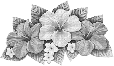 soave deco summer flowers tropical black white - png ฟรี