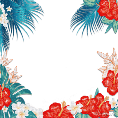soave frame summer tropical flowers palm leaves - png gratuito