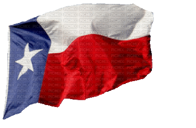 Texas Flag - Gratis animerad GIF