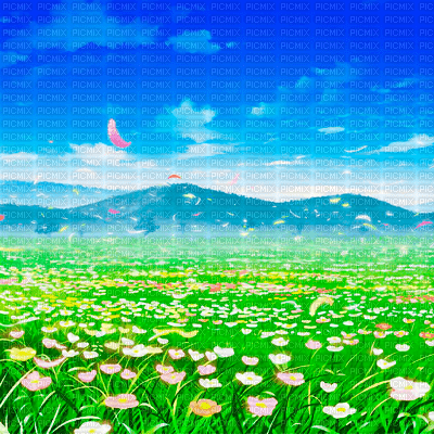 Y.A.M._Summer landscape background flowers - besplatni png