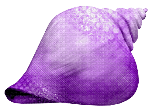 Seashell.Purple - png ฟรี
