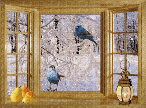 window winter room gif bg - Gratis geanimeerde GIF